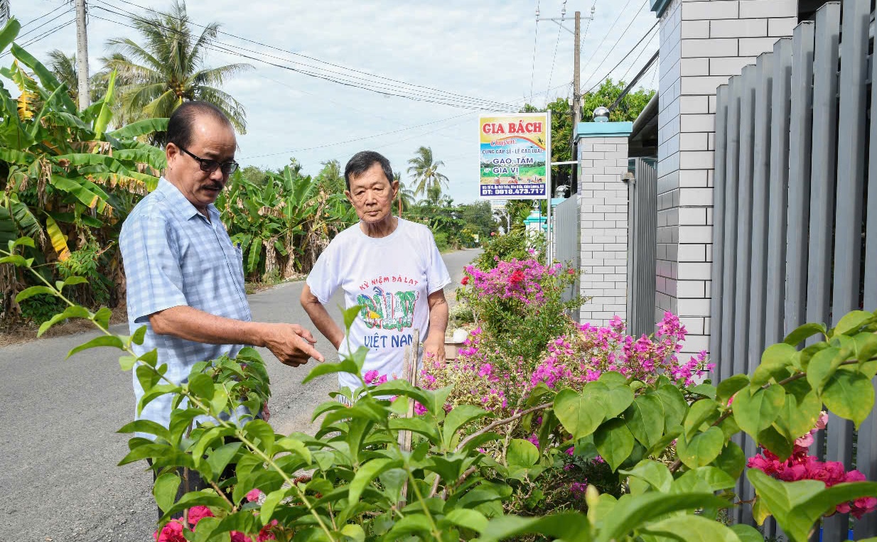 Tạo cảnh quang xanh sạch đẹp